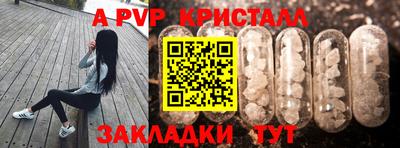 apvp Пугачёв