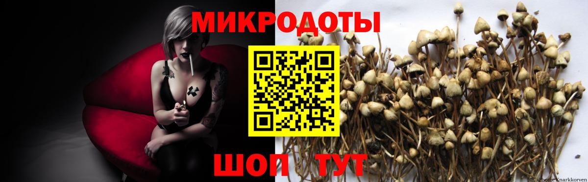 Сибай  Псилоцибиновые грибы мицелий  Вход с VPN 